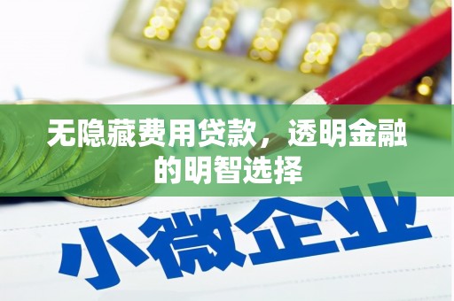 阿图什无隐藏费用贷款，透明金融的明智选择