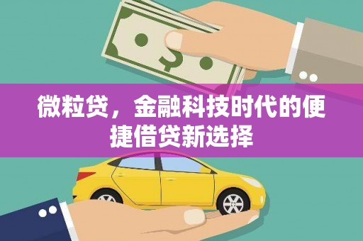 阿图什微粒贷，金融科技时代的便捷借贷新选择