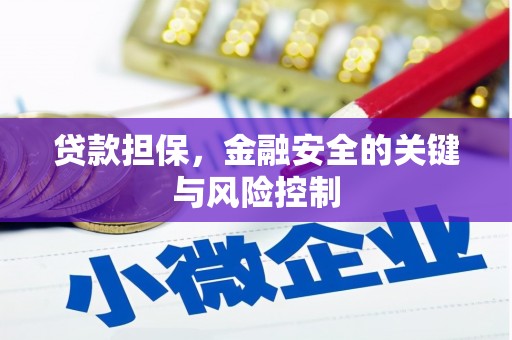 阿图什贷款担保，金融安全的关键与风险控制