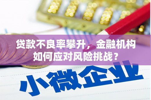 阿图什贷款不良率攀升，金融机构如何应对风险挑战？