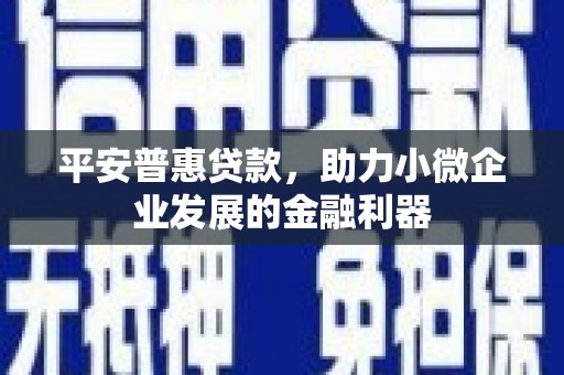 阿图什平安普惠贷款，助力小微企业发展的金融利器