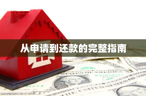阿图什从申请到还款的完整指南