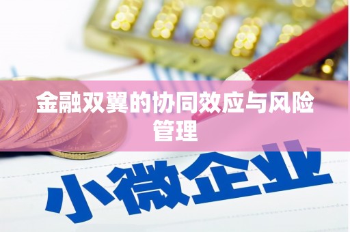 阿图什金融双翼的协同效应与风险管理
