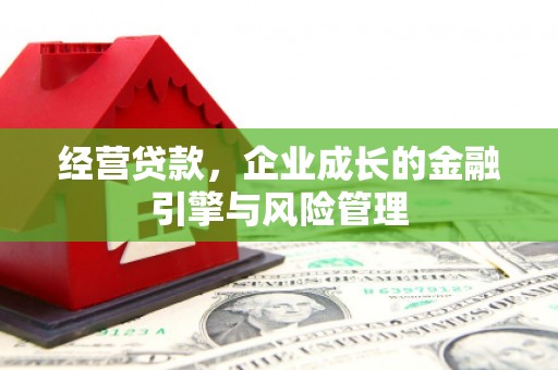 阿图什经营贷款，企业成长的金融引擎与风险管理